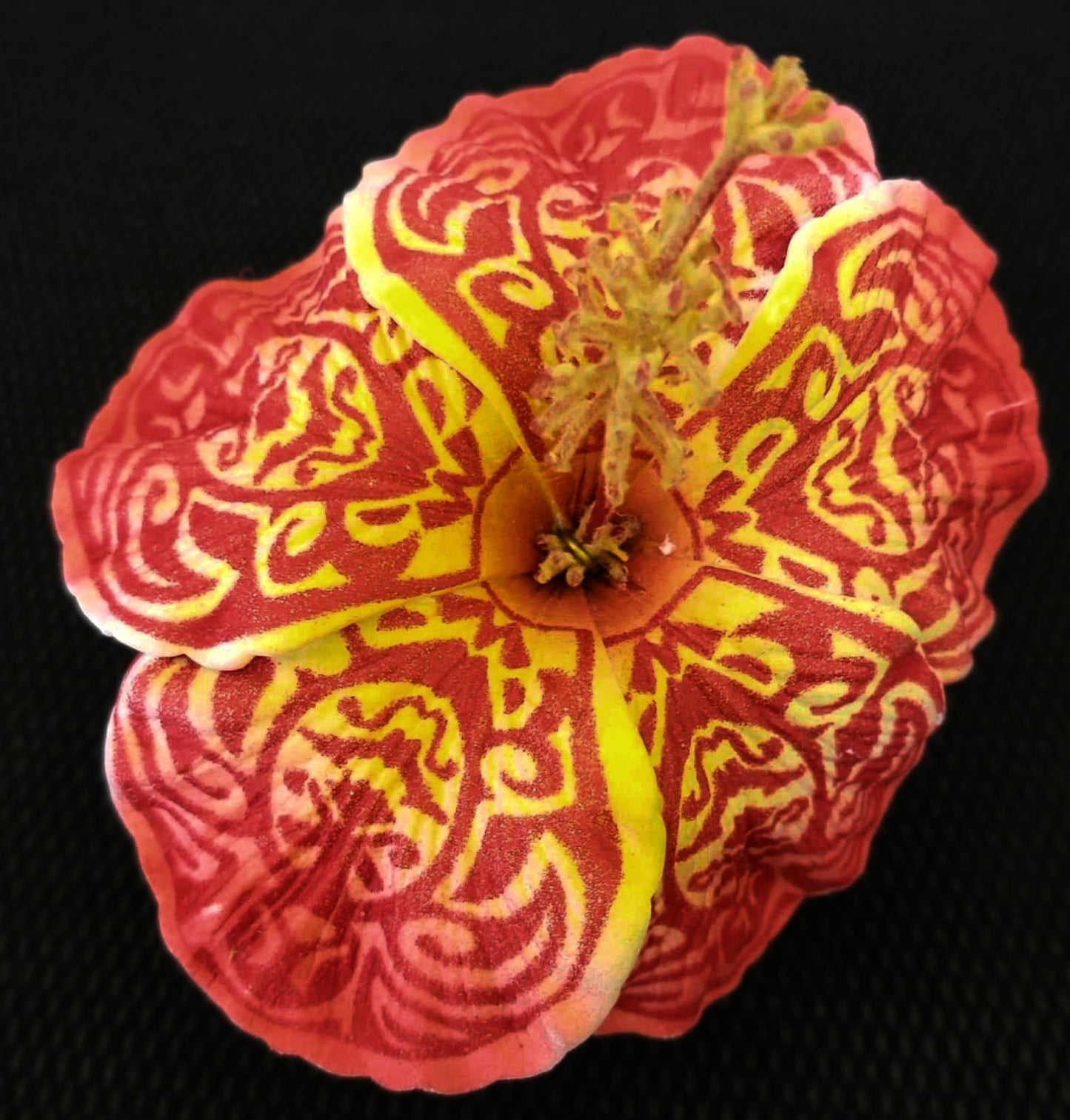 Flower/Tattoed Hibiscus Picks