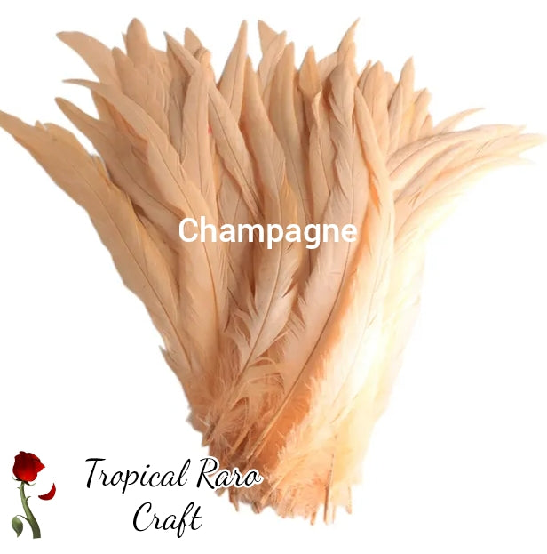 50pcs LOTS Rooster Feathers/Special Colours