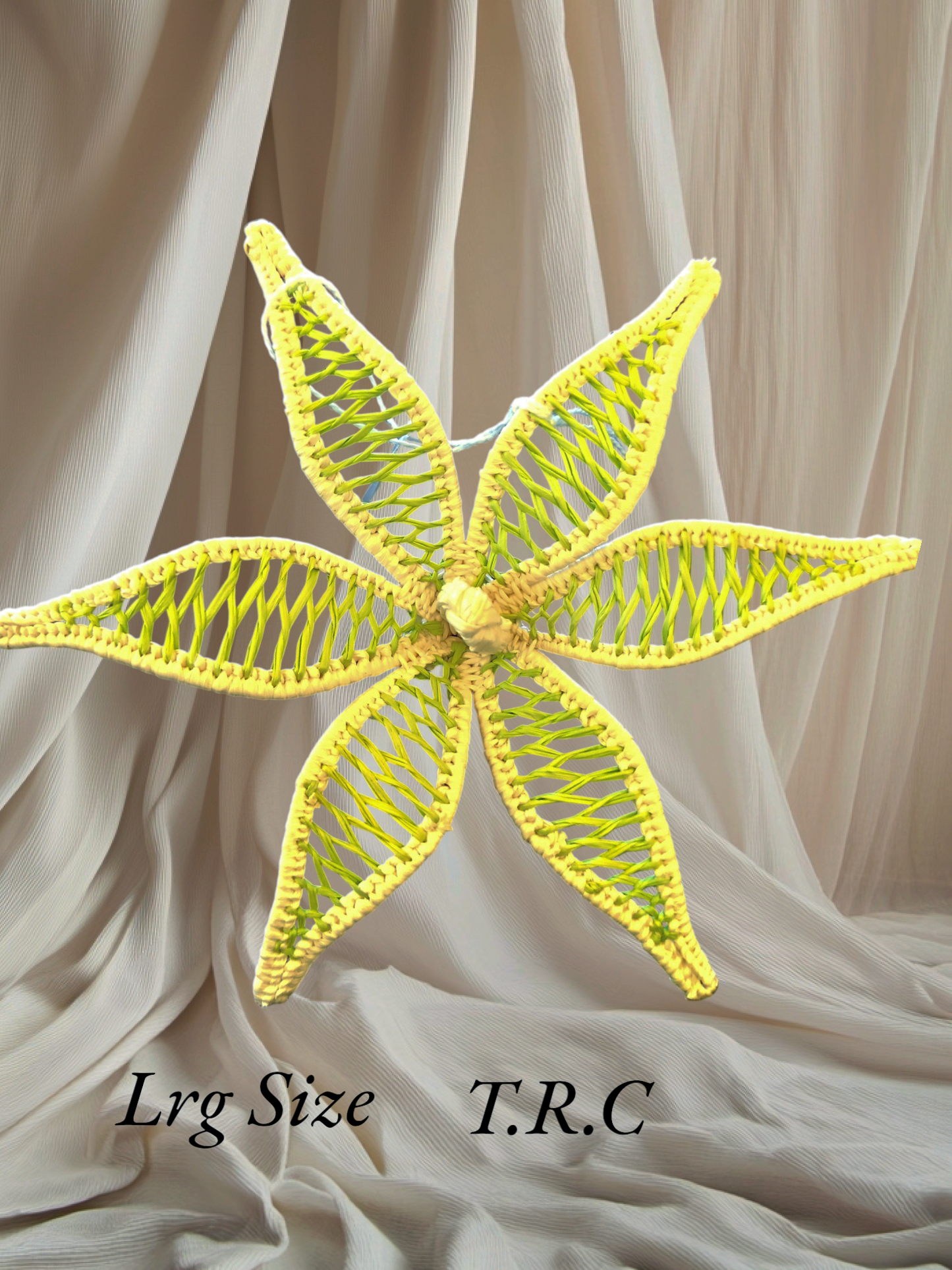 Rito/Coconut Frond/Flower Hair/Ear Picks (Cat)#1