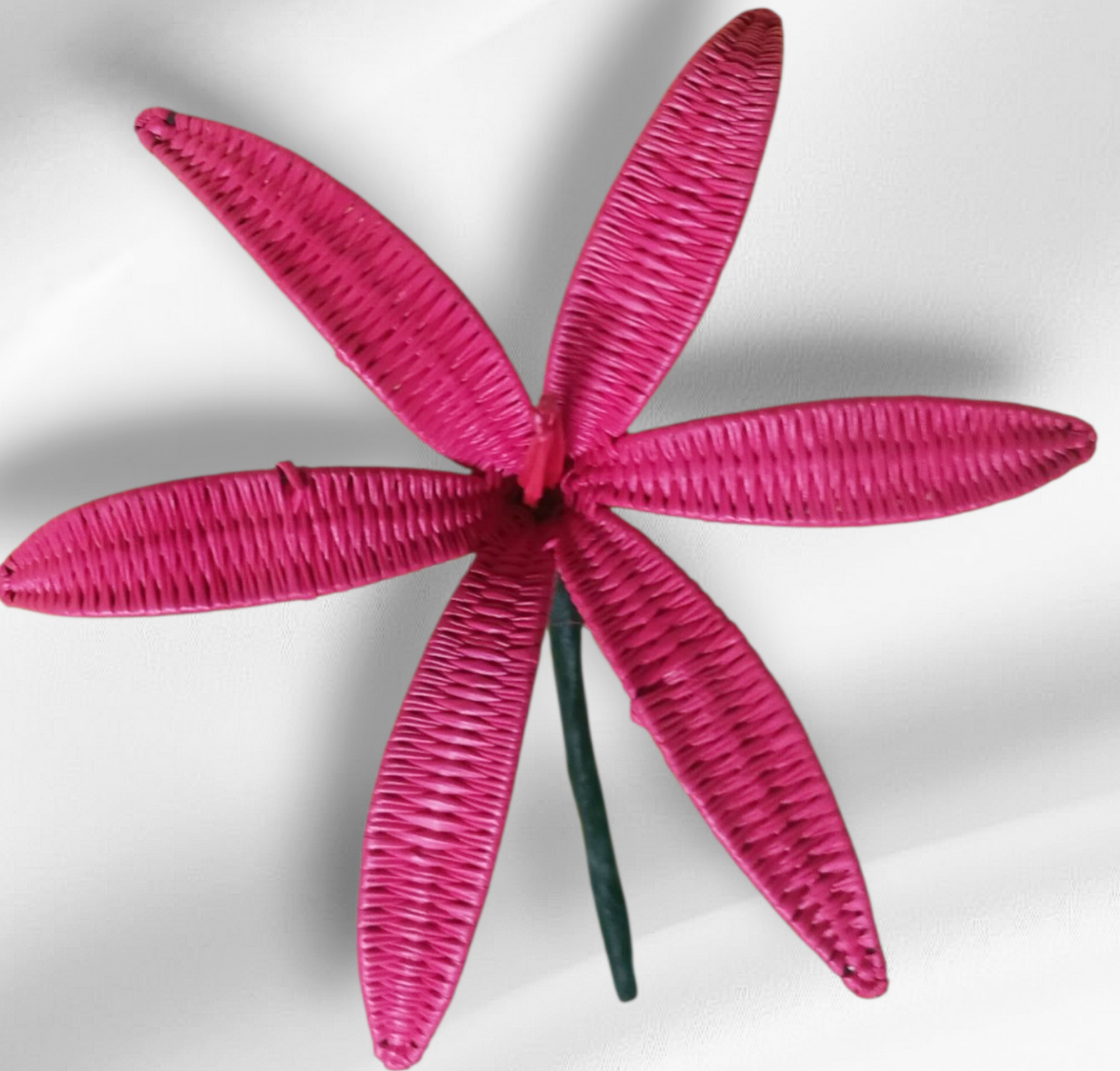 Rito/Coconut Frond/Flower Hair/Ear Picks (Cat)#03