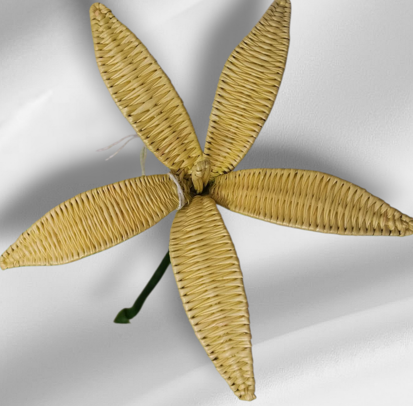 Rito/Coconut Frond/Flower Hair/Ear Picks (Cat)#02