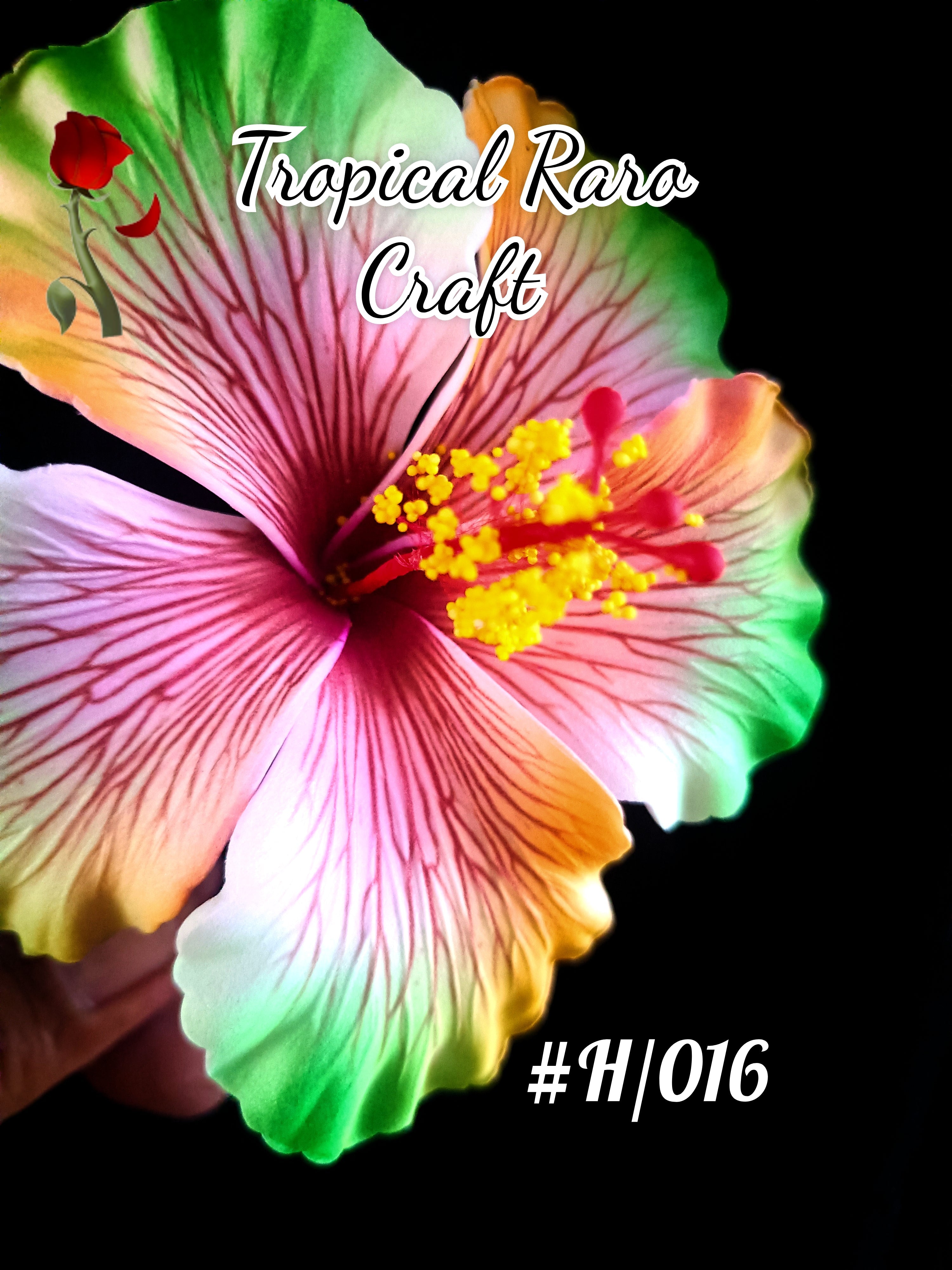 New Products – Tropical Raro Craft