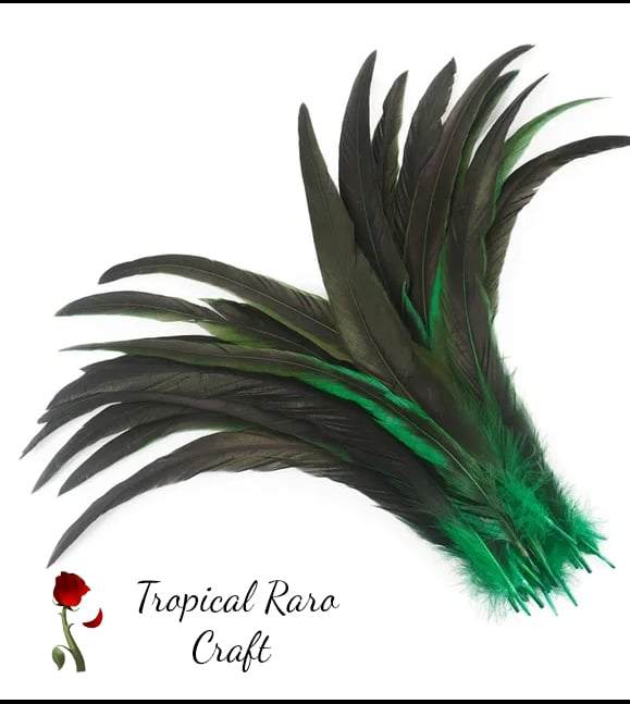 50pcs Lots TWO TONE COLORED Rooster Tail Feathers