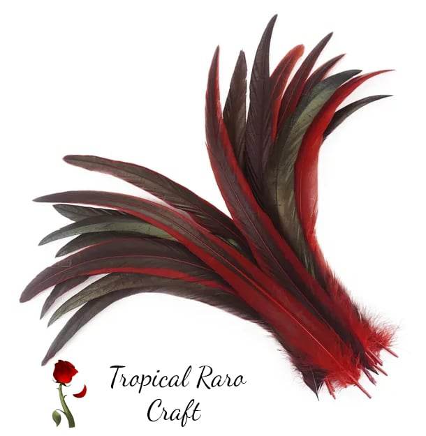 50pcs Lots TWO TONE COLORED Rooster Tail Feathers