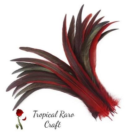 50pcs Lots TWO TONE COLORED Rooster Tail Feathers