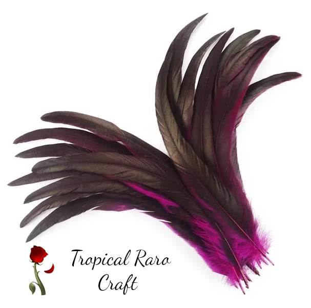 50pcs Lots TWO TONE COLORED Rooster Tail Feathers