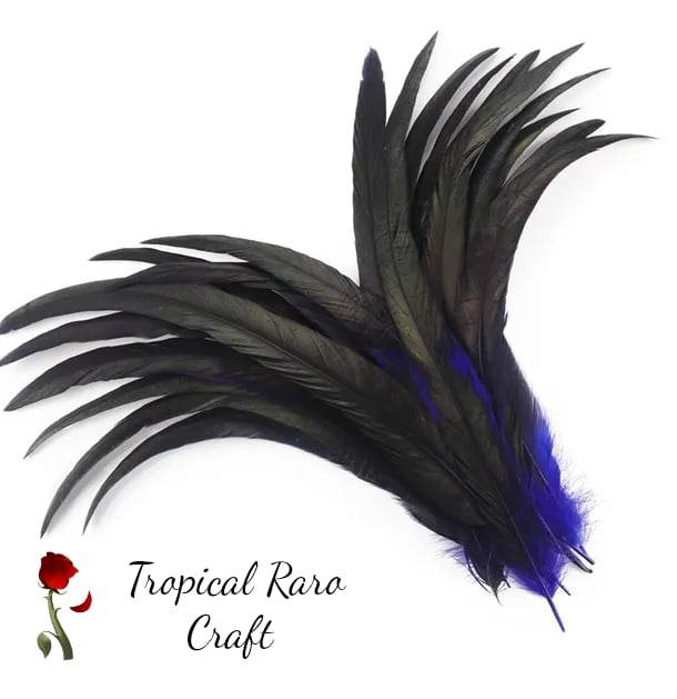 50pcs Lots TWO TONE COLORED Rooster Tail Feathers