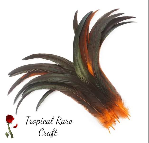 50pcs Lots TWO TONE COLORED Rooster Tail Feathers