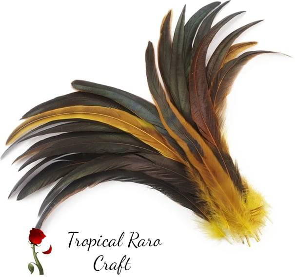 50pcs Lots TWO TONE COLORED Rooster Tail Feathers