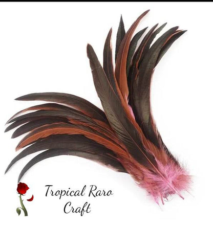 50pcs Lots TWO TONE COLORED Rooster Tail Feathers