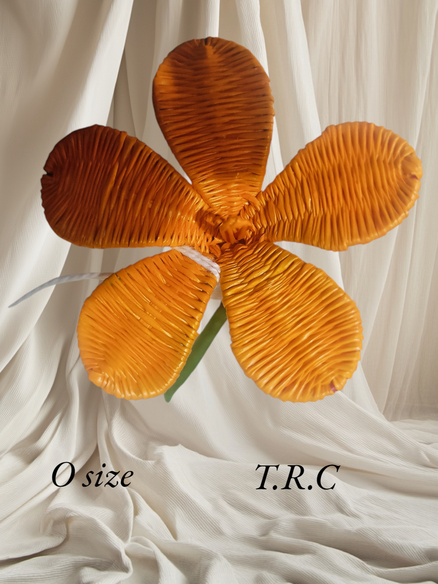Rito/Coconut Frond/Flower Hair/Ear Picks (Cat)#5
