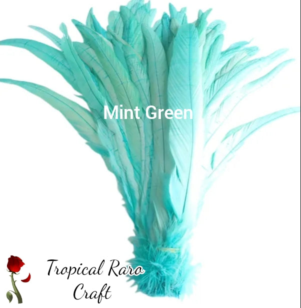 50pcs LOTS Rooster Feathers/Special Colours