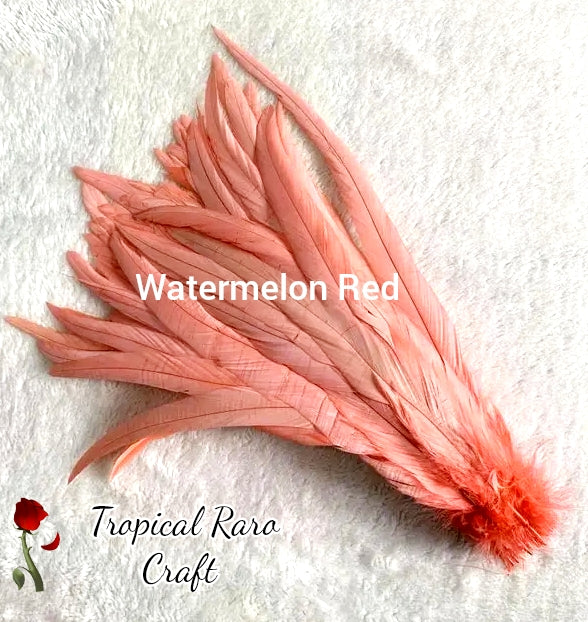 50pcs LOTS Rooster Feathers/Special Colours