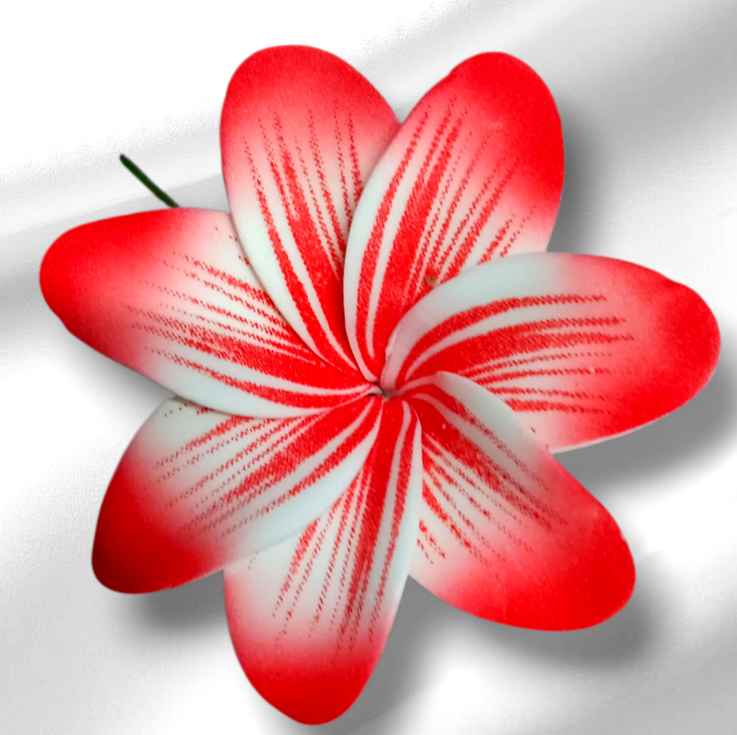 Plumeria Hair Picks..