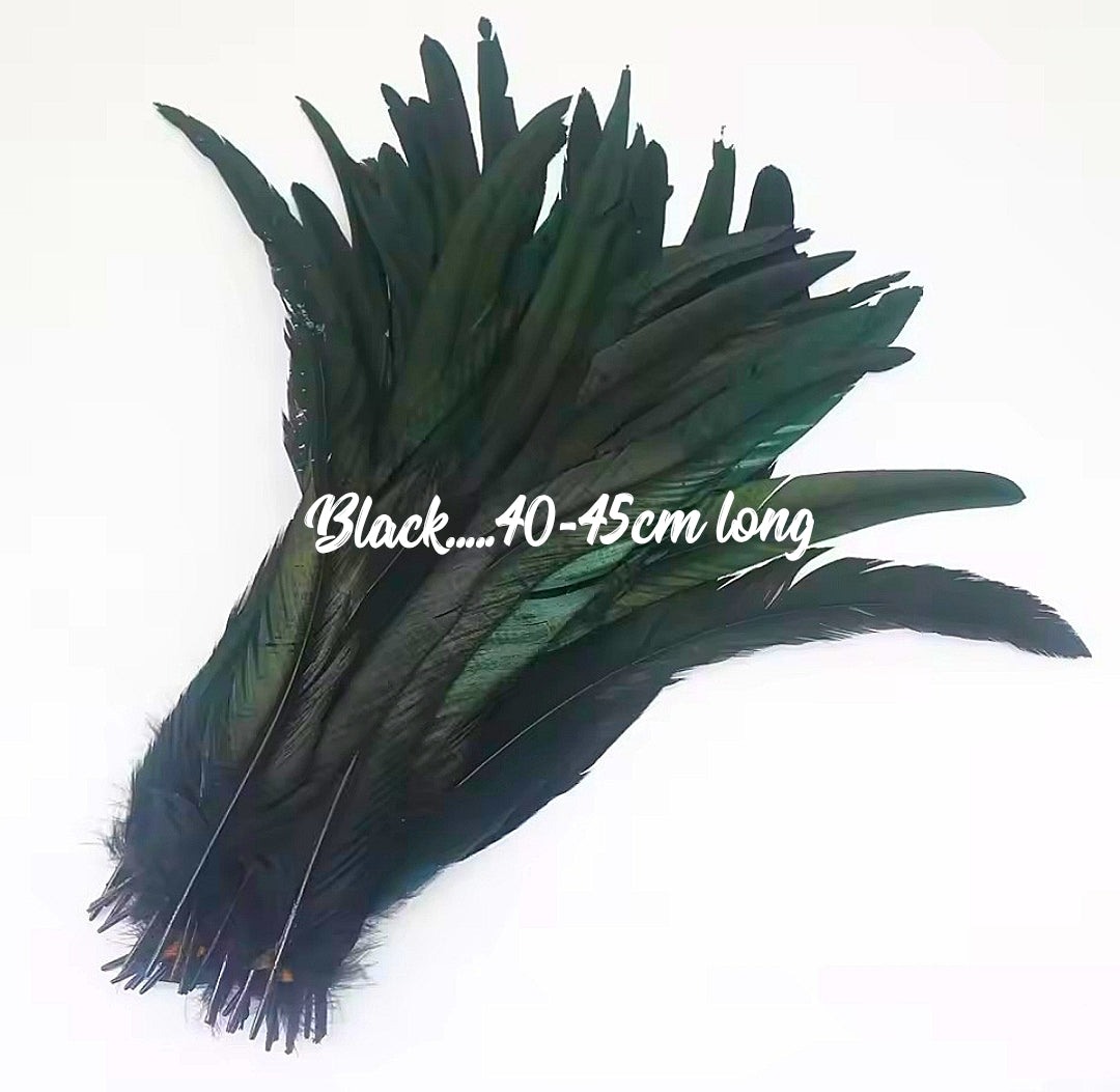 Rooster Feathers/Costume Feathers