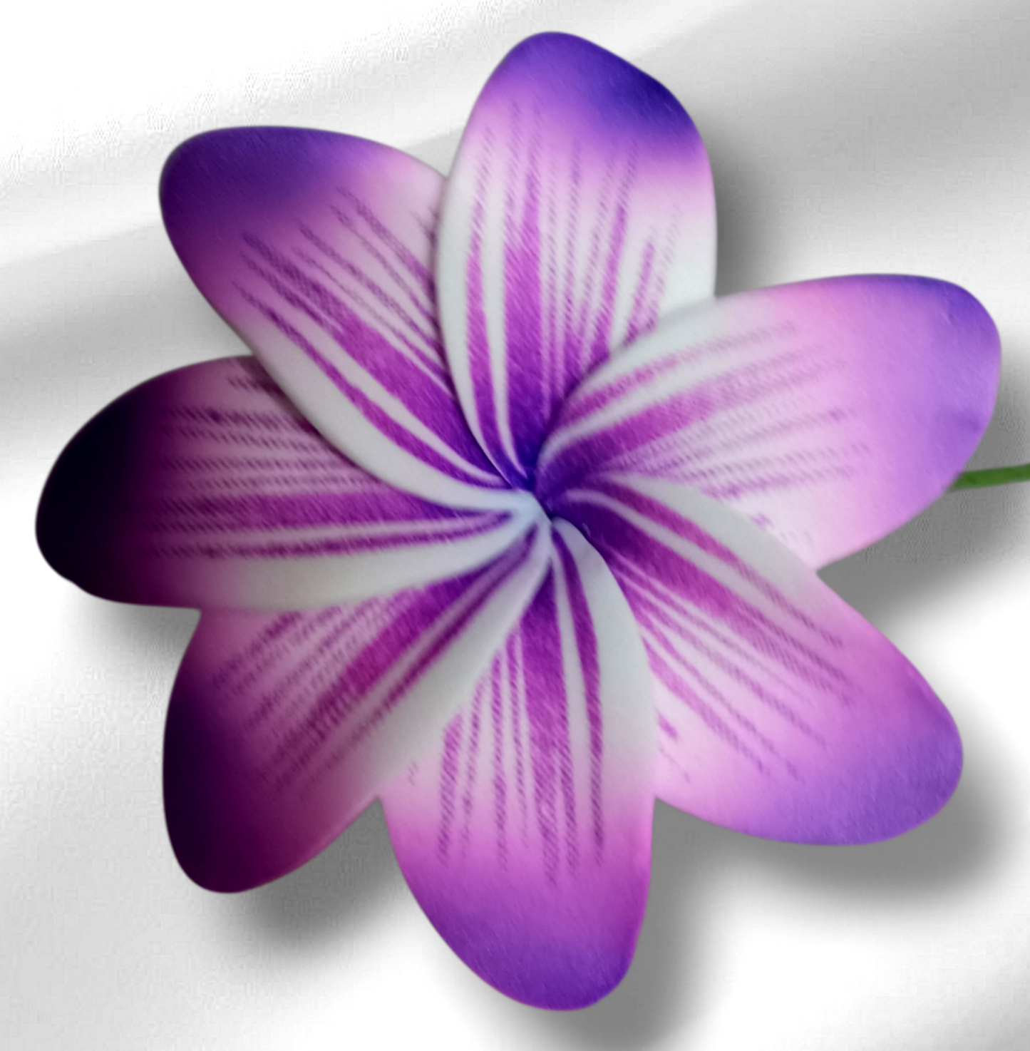 Plumeria Hair Picks..