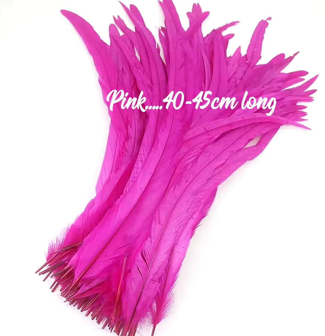 Rooster Feathers/Costume Feathers