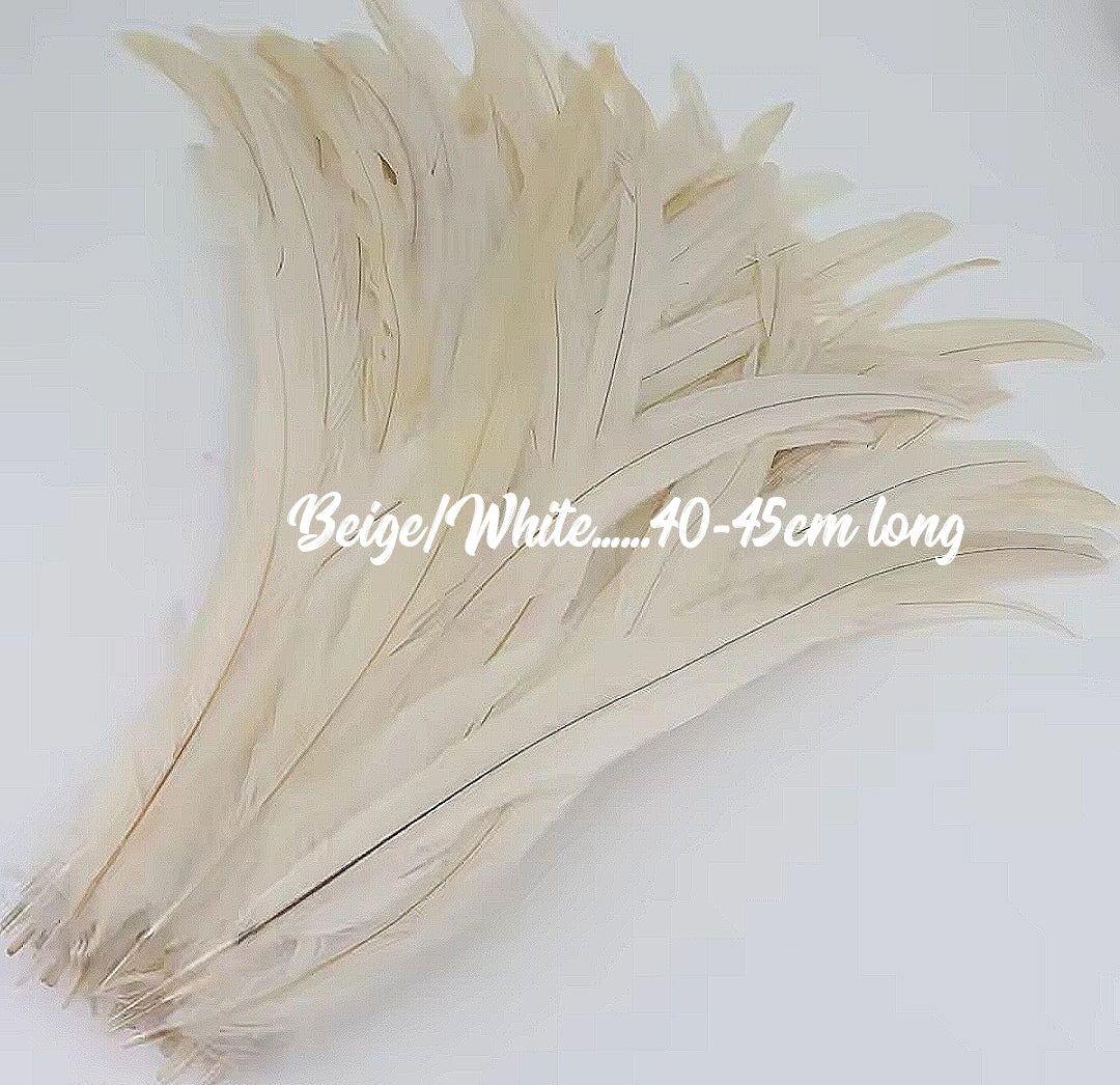 Rooster Feathers/Costume Feathers