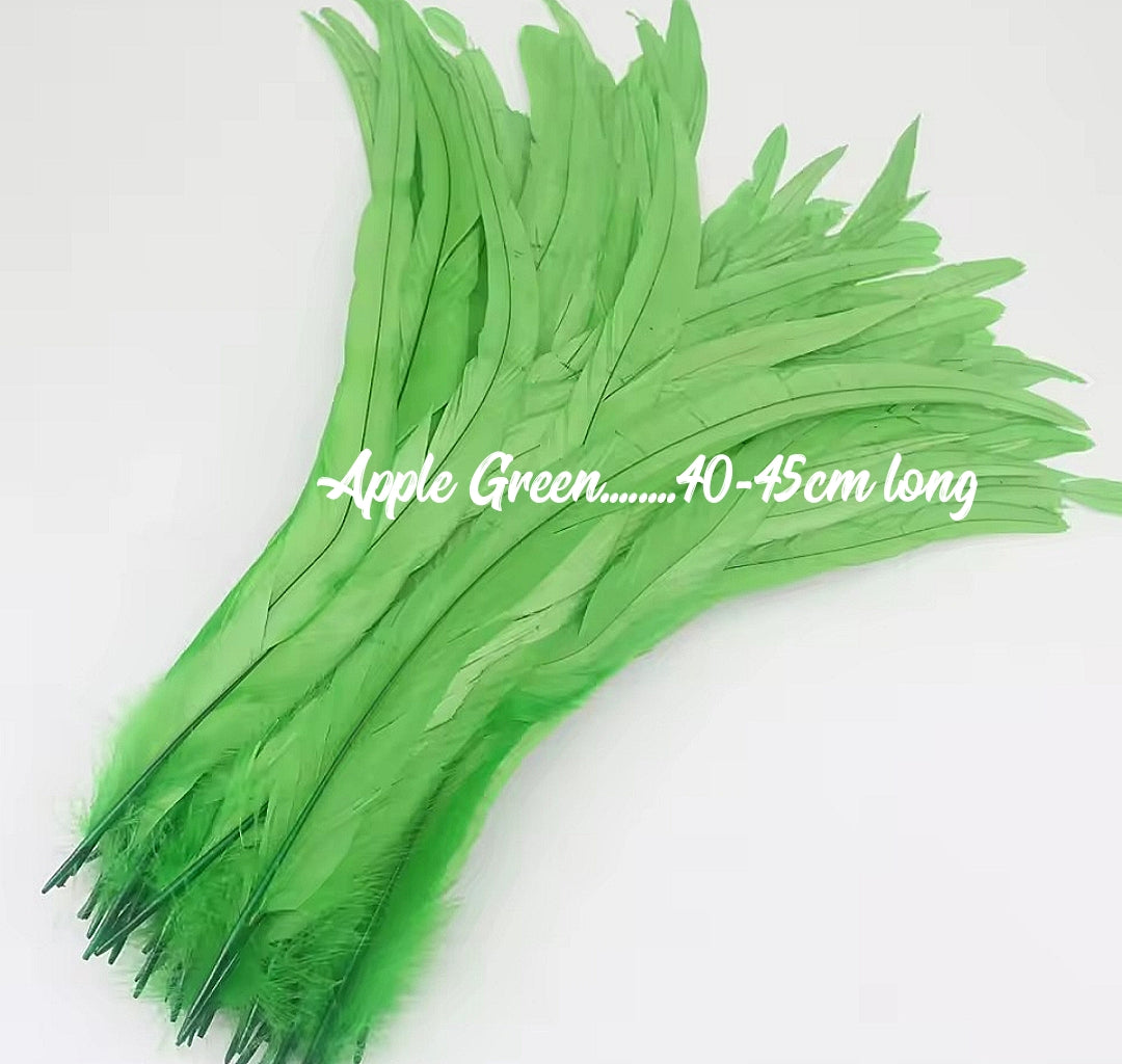 Rooster Feathers/Costume Feathers