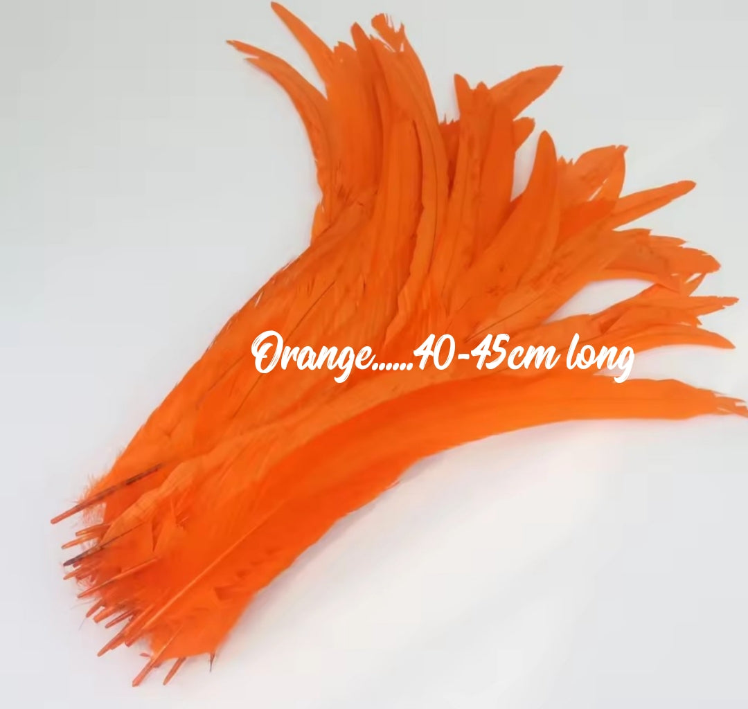 Rooster Feathers/Costume Feathers