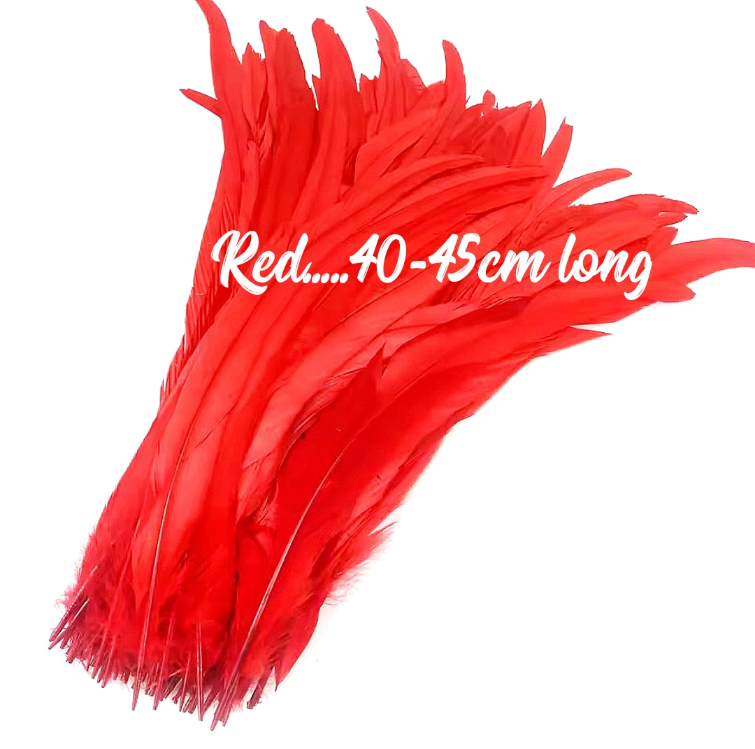 Rooster Feathers/Costume Feathers