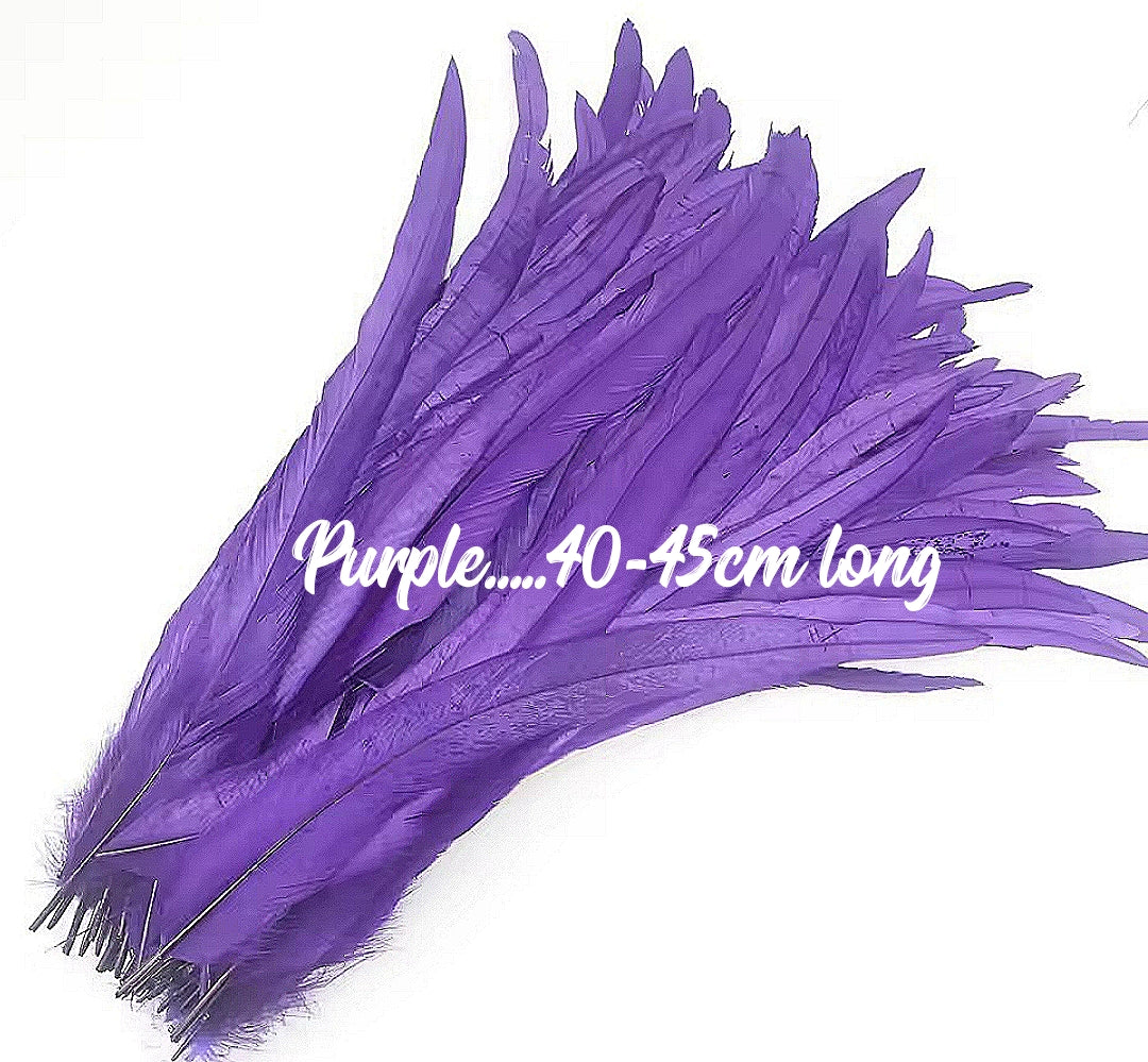 Rooster Feathers/Costume Feathers