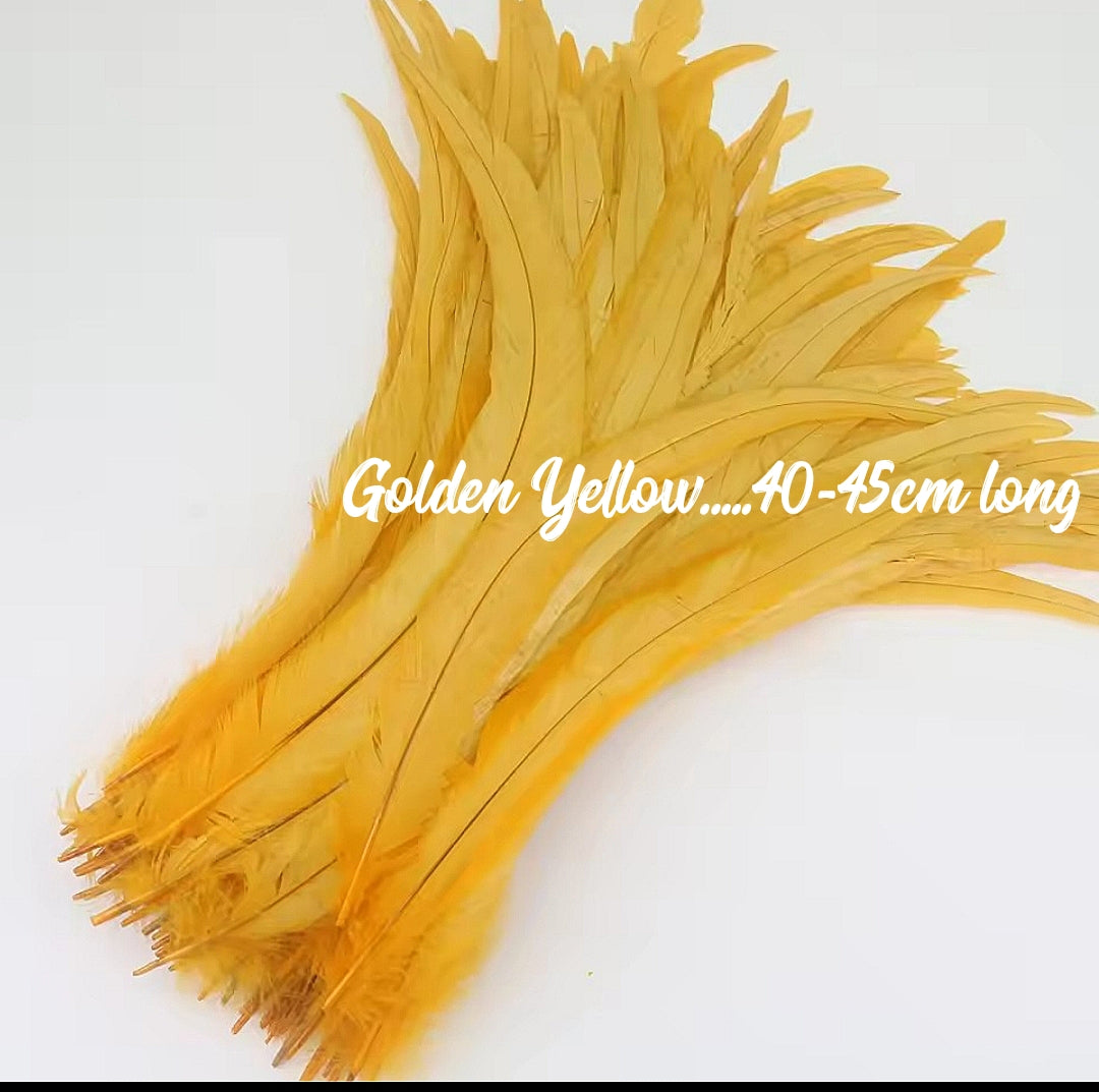 Rooster Feathers/Costume Feathers